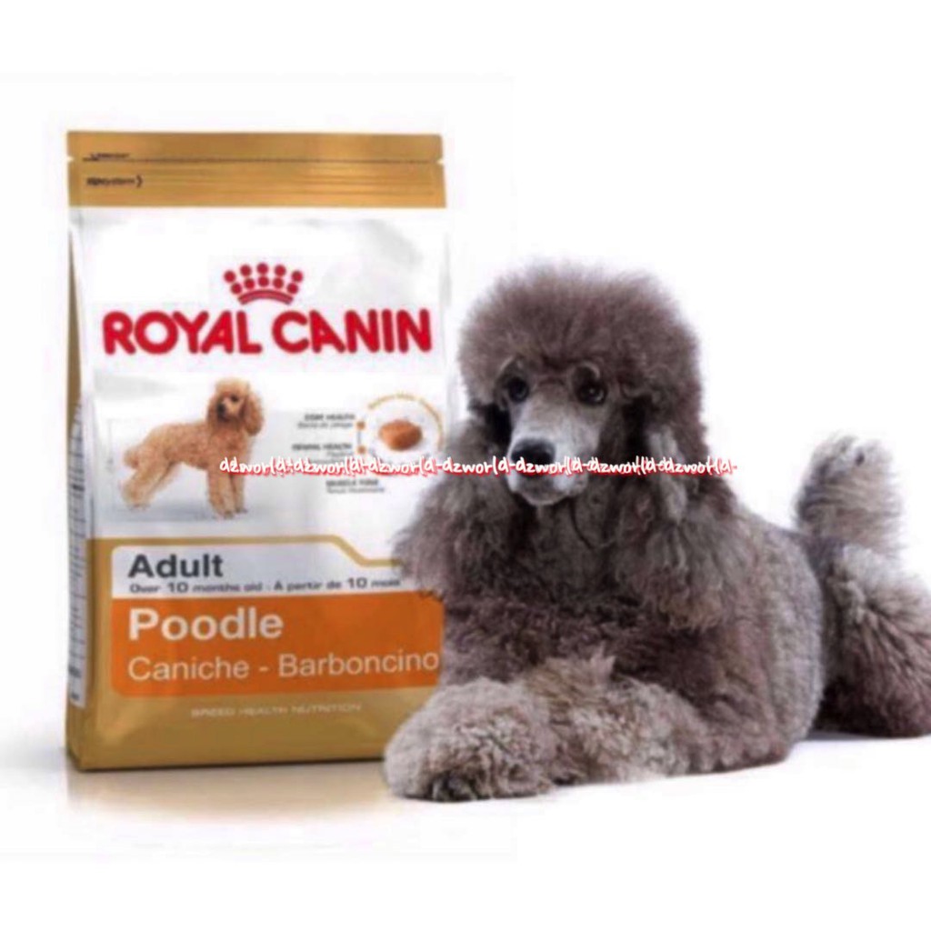 Royal Canin Poodle Barboncino 1.5 kg Makanan Anjing Pudel