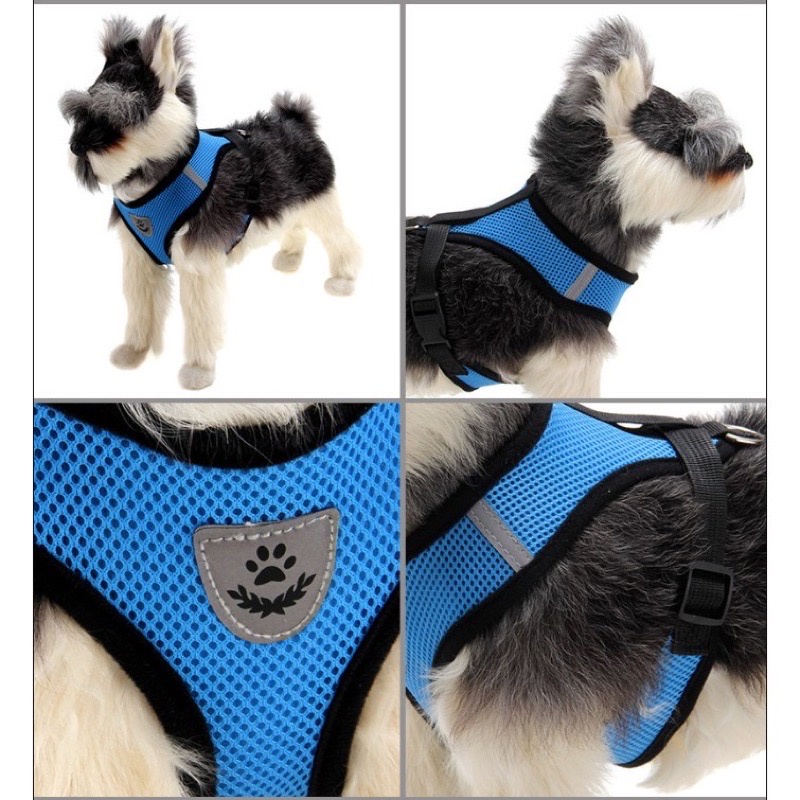 ROMPI KUCING ANJING - Baju Rompi Harness Vest Rompi + Tali Tuntun Kucing Anjing