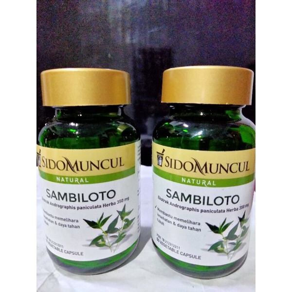 Sambiloto Sidomuncul