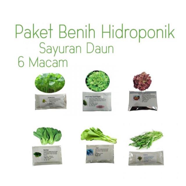 Paket Benih Hidroponik Sayur Daun