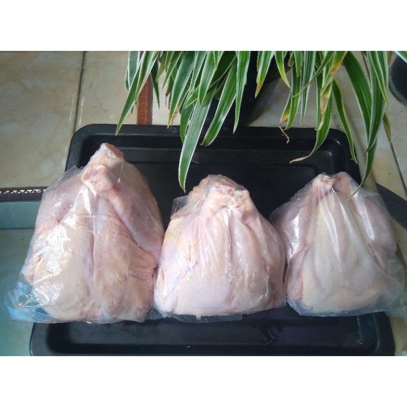 

AYAM BROILER/KARKAS UK.06-07
