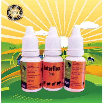 Interflox Oral - OBAT FLU PILEK KUCING KELINCI 10ml