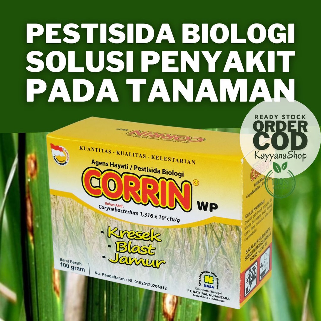 Pestisida Biologi Agensia hayati CORRIN Pembasmi Blast Kresek Daun Tanaman Padi / Penyakit Bercak Da