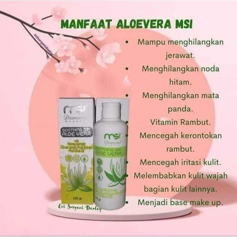 msi aloevera shooting gel msi/msi gel aloevera original/aloevera shooting gel msi terbaru