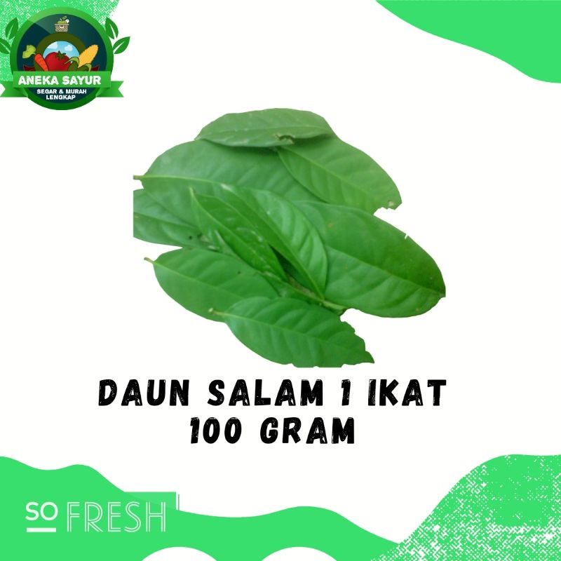 

Daun Salam 1 Ikat