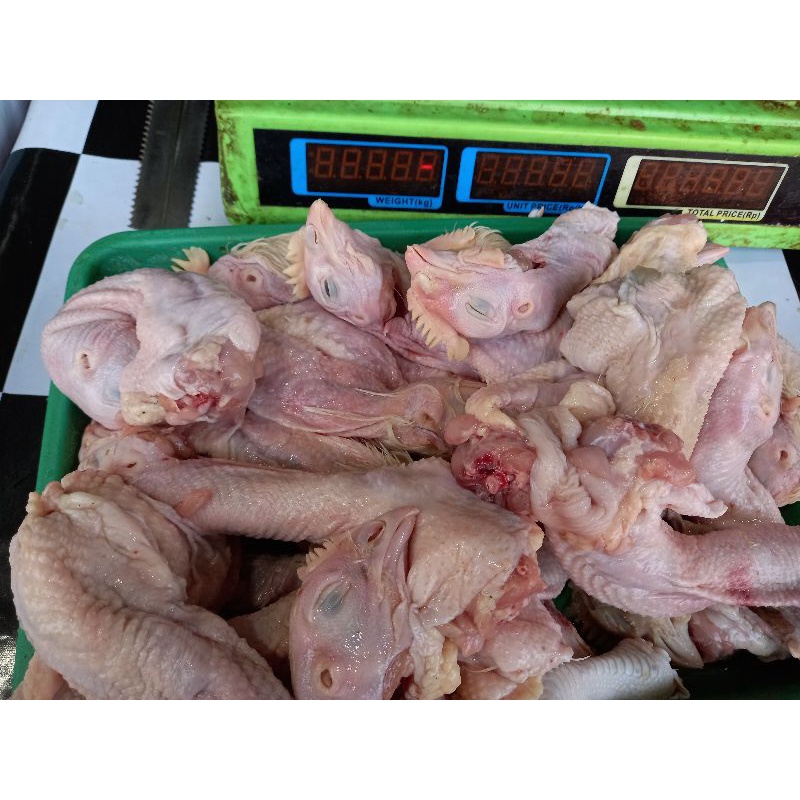 

KEPALA AYAM