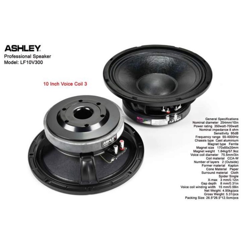 Speaker ashley 10v300
