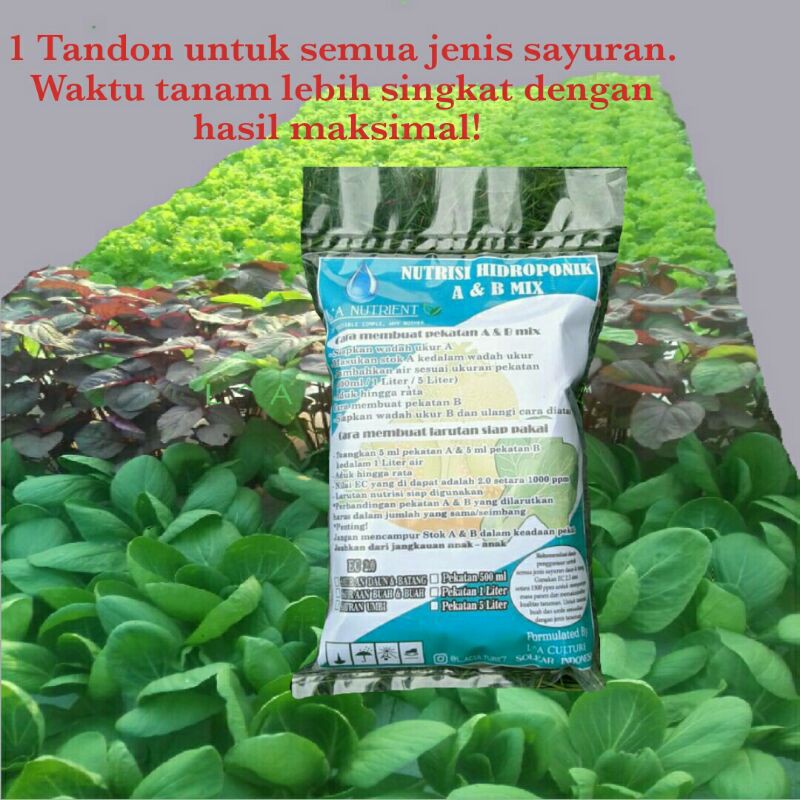 Jual Nutrisi Hidroponik AB Mix 5 Liter Sayuran Daun LA Nutrient ...