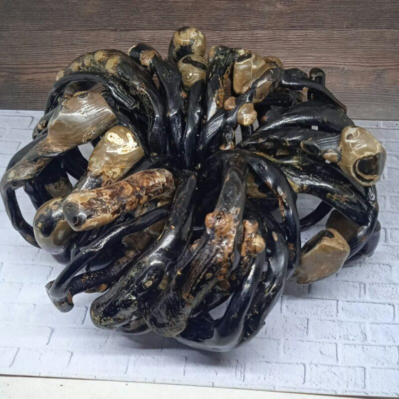 GELANG AKAR BAHAR HITAM BONGGOL JUMBO