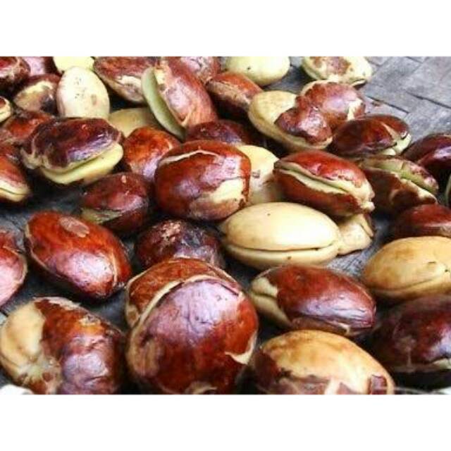 Jengkol Mentah Tua 1kg subsidi ongkir 20rb  Murah Meriah