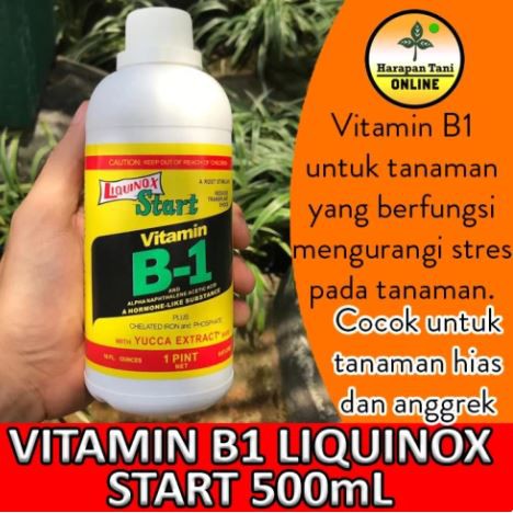 Vitamin B1 Liquinox 500mL | Vitamin Anti Stress Tanaman Hias