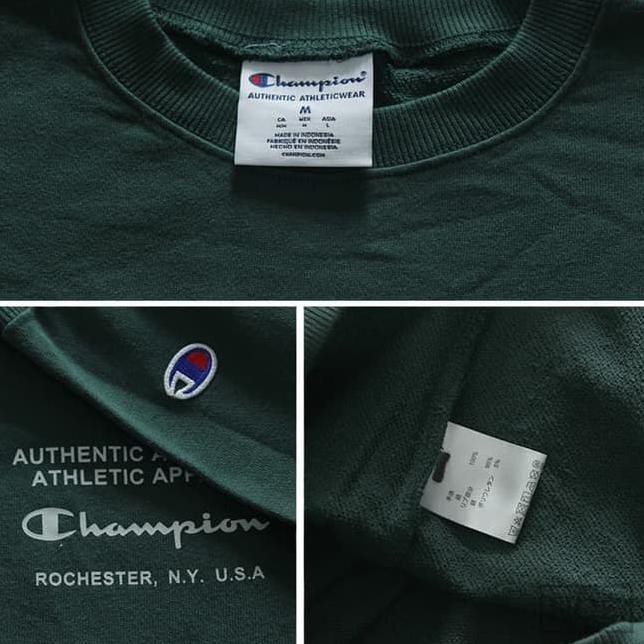 champion hoodie tag