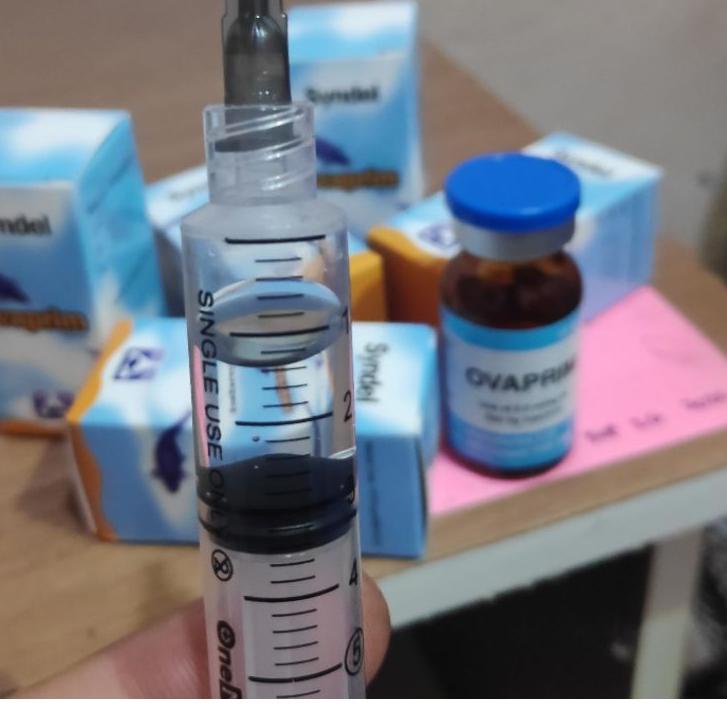 Bagus Dipakai.. ovaprim syndel ecer/ml