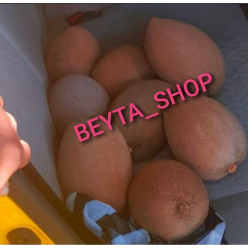 BUAH SAWO MAMEY SAPOTE MAGANA/ SAWO JUMBO/SAWO RAKSASA