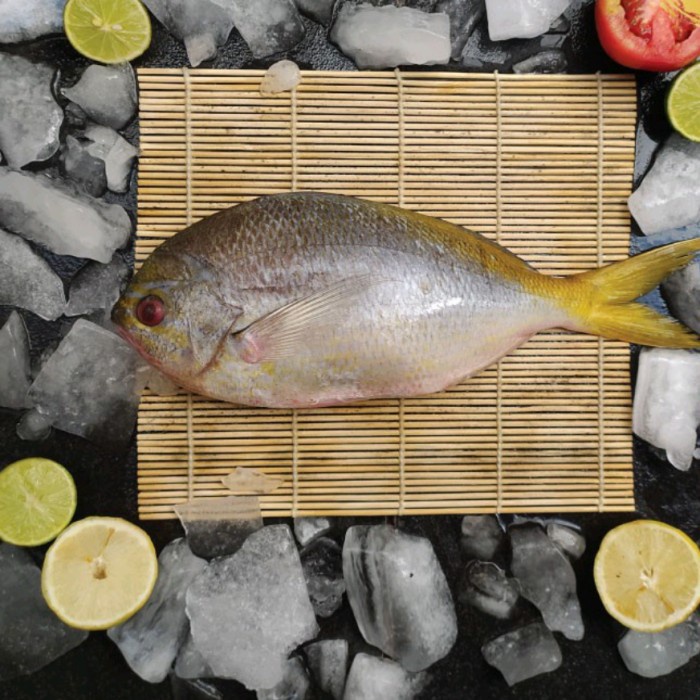 

IKAN EKOR KUNING - 1kg