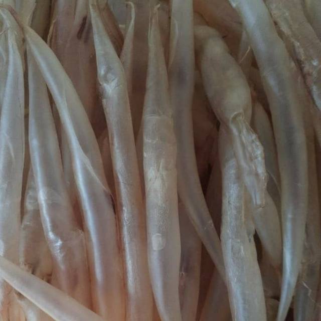 Perut gelembung ikan fish maw malong khas bangka 100 gram