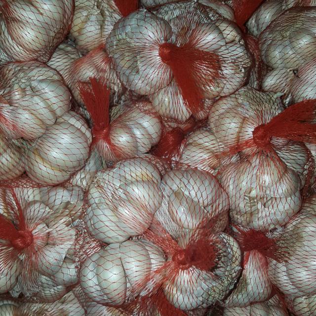 

Bawang Putih Segar