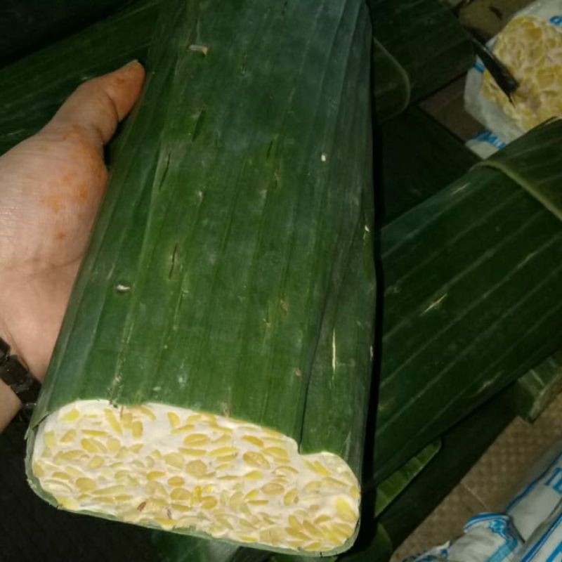 

Tempe bungkus pisang besar