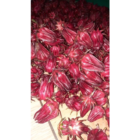 

Rosella Merah Segar 1kg Rosela