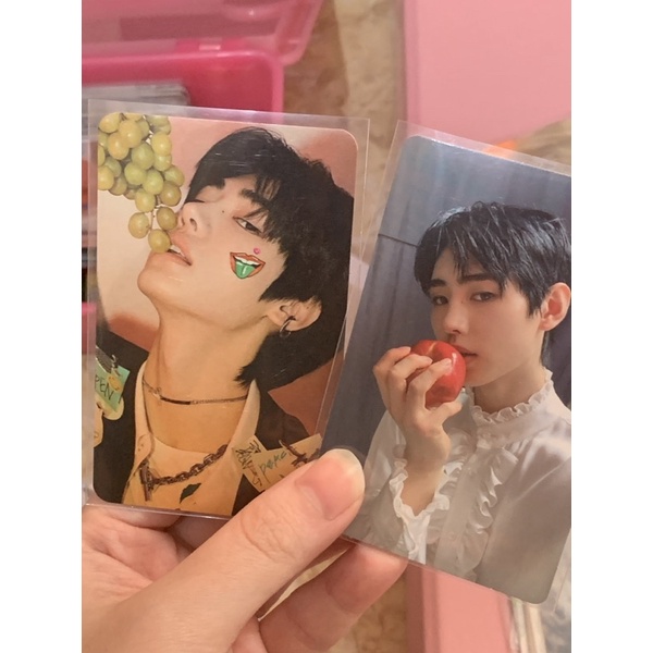 bundle sunghoon apel + sunghoon anggur , wts pc bene shopee sunghoon , pc bdo dusk enhypen