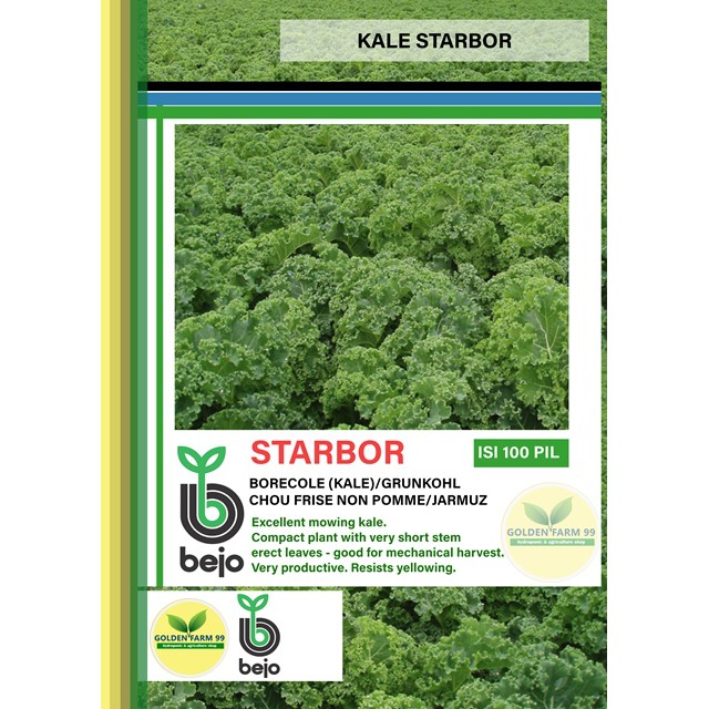 Benih kale STARBOR Bejo seed - Import