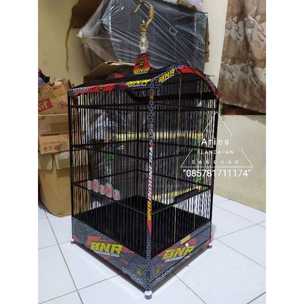 Sangkar Kotak BNR decal ekonomis