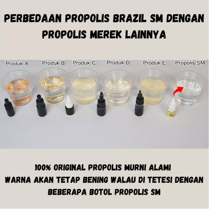 OBAT PEMBERSIH XANTHELASMA HERBAL PROPOLIS SM BRAZIL TERMURAH