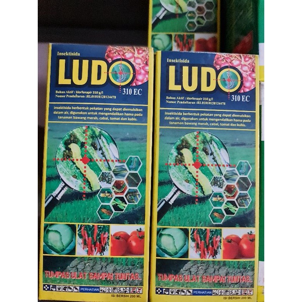 insektisida Ludo 200