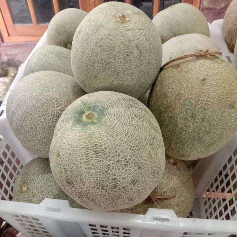 

Melon orange dan putih 1kilo