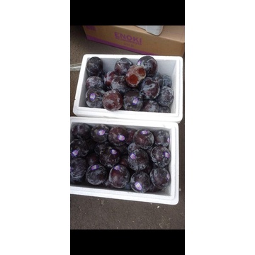 

Buah Plum