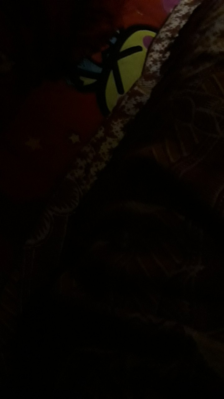 Gelas Gagang Tikar Warna Gelas Plastik 1 Lusin Cangkir Plastik Warna