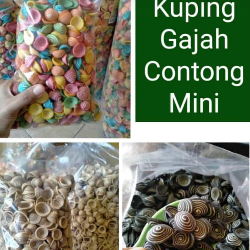 

KUPING GAJAH CONTONG MINI 500 gr