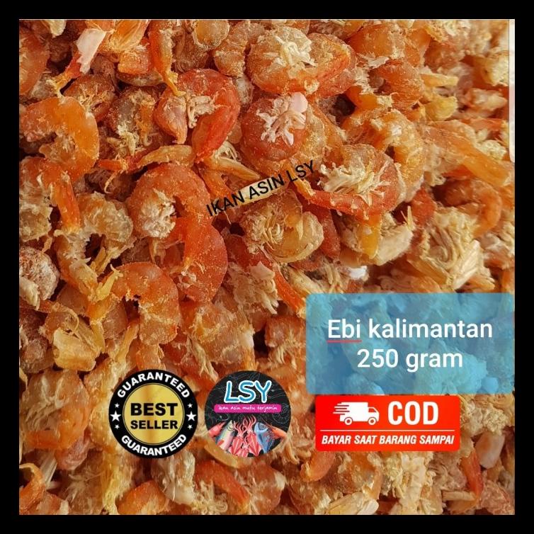 

EBI KALIMANTAN SUPER BERKUALITAS