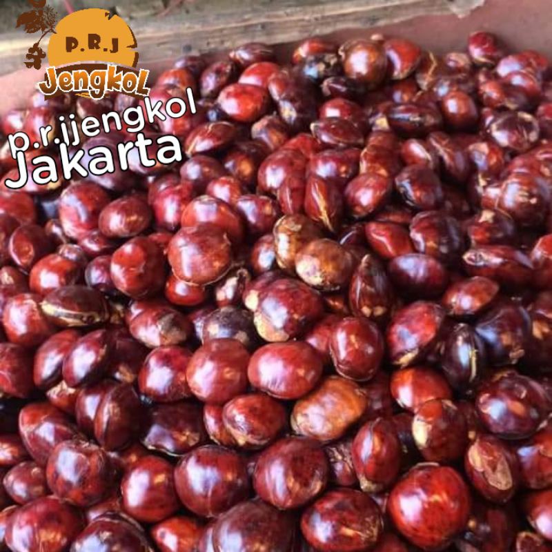 

Jengkol/Jering tua Jakarta 1 kg