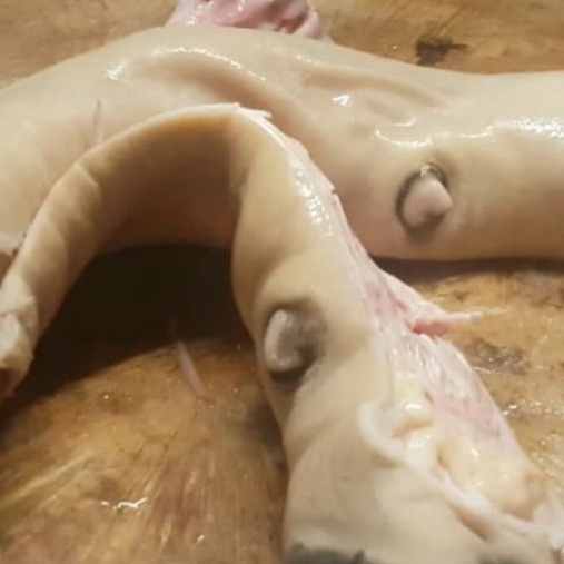 kaki sapi utuh lokal