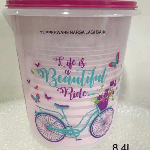 giant bicycle tupperware