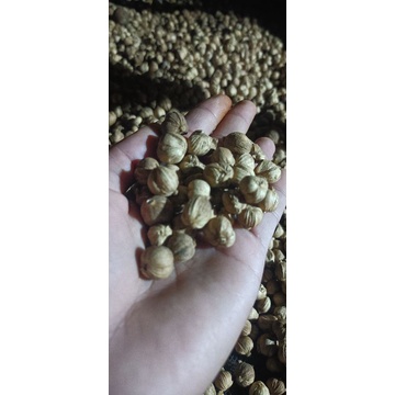 

Kapulaga kering organik original 100%