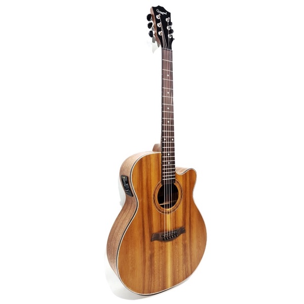 Gitar Akustik Elektrik Merk Camwood Original Tipe IWC-235 NSK EQ TUNER Cowboy Murah Jakarta