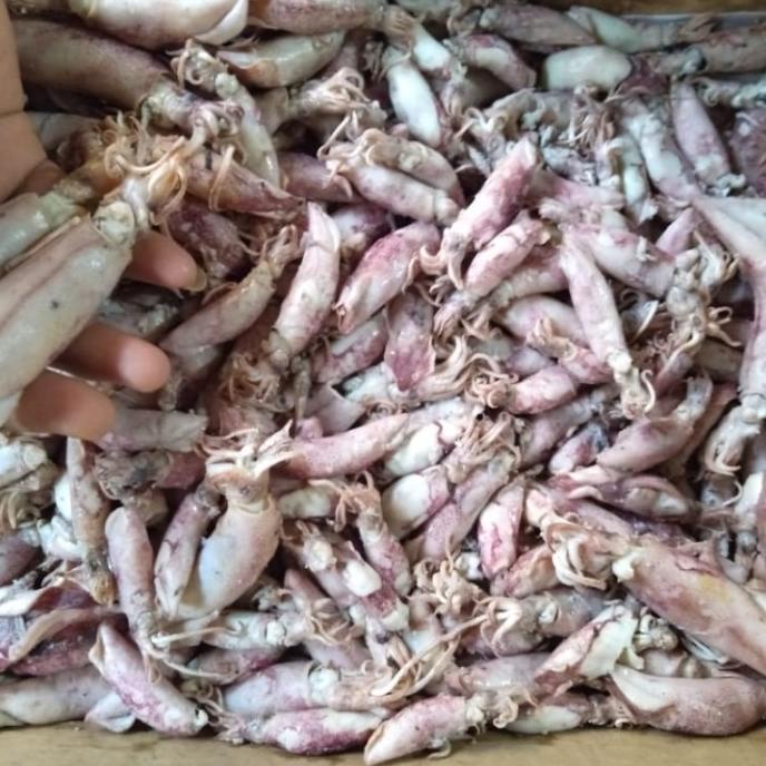 

cumi asin 1kg