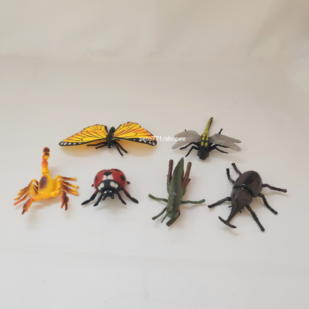 Insects Serangga Kupu Capung Kalajengking Kumbang Belalang Kumbang badak Katak Hewan Binatang