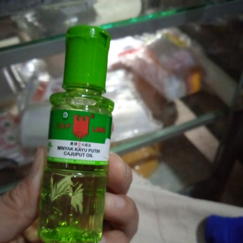 mintak kayu putih 15ml