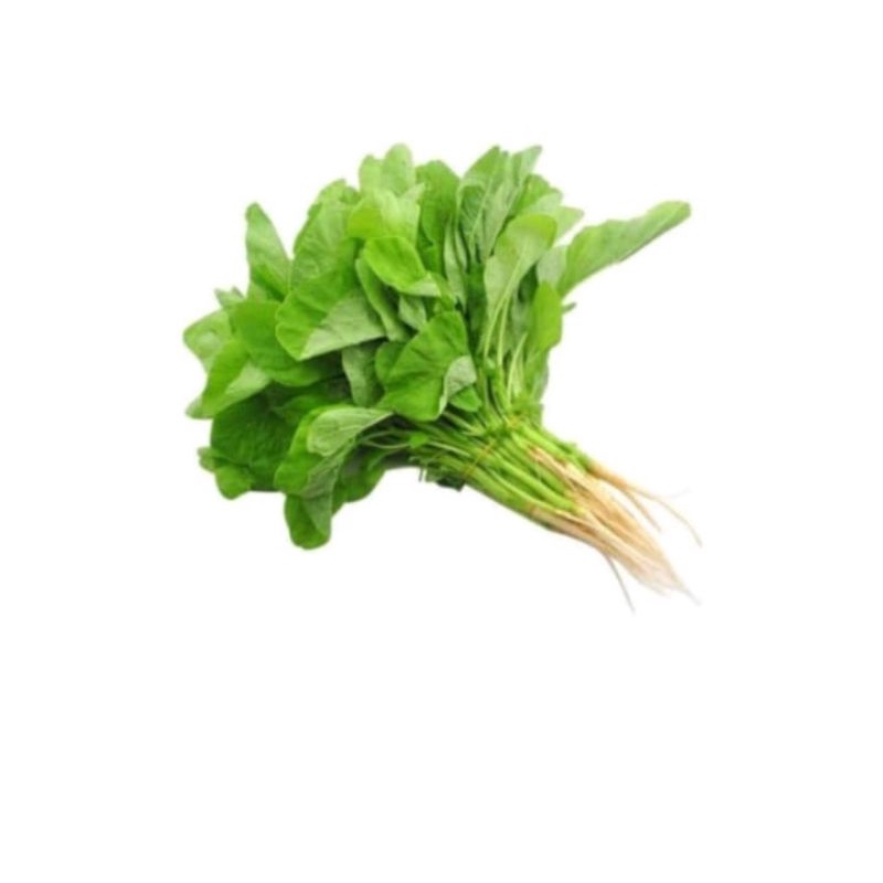 

BAYEM HIDROPHONIK 250G
