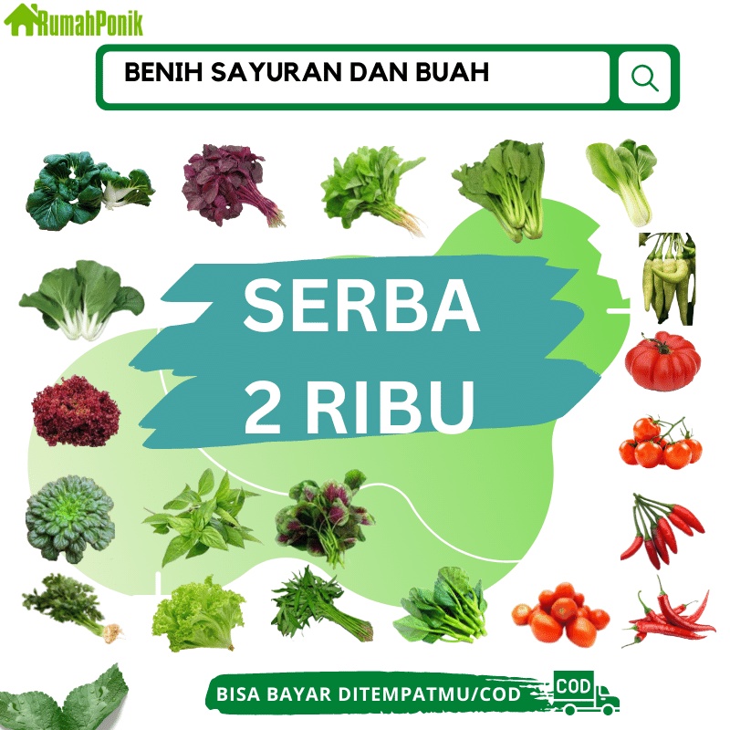 Jual Benih Sayuran Daun Dan Buah Bibit Sayuran Benih Cabe Benih Bayam Benih Selada Benih