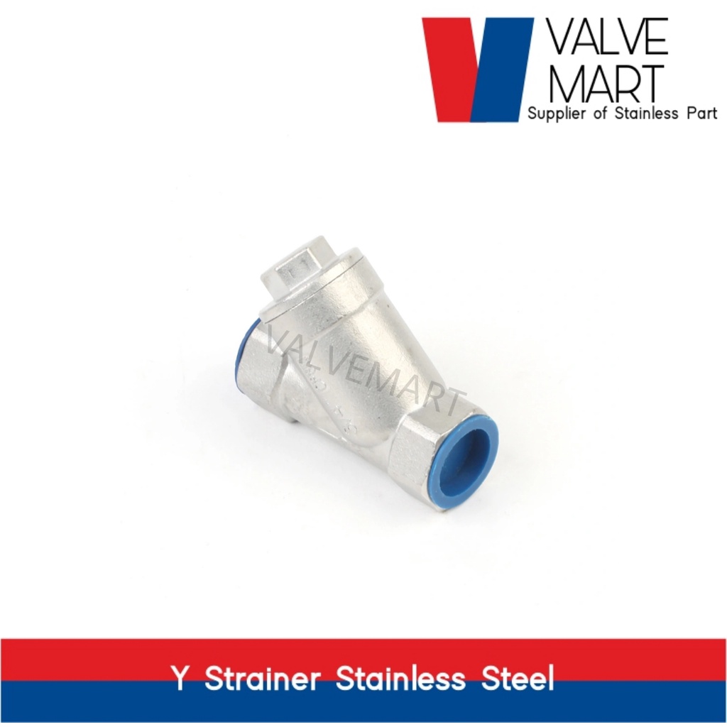 Y strainer stainless steel 2&quot;