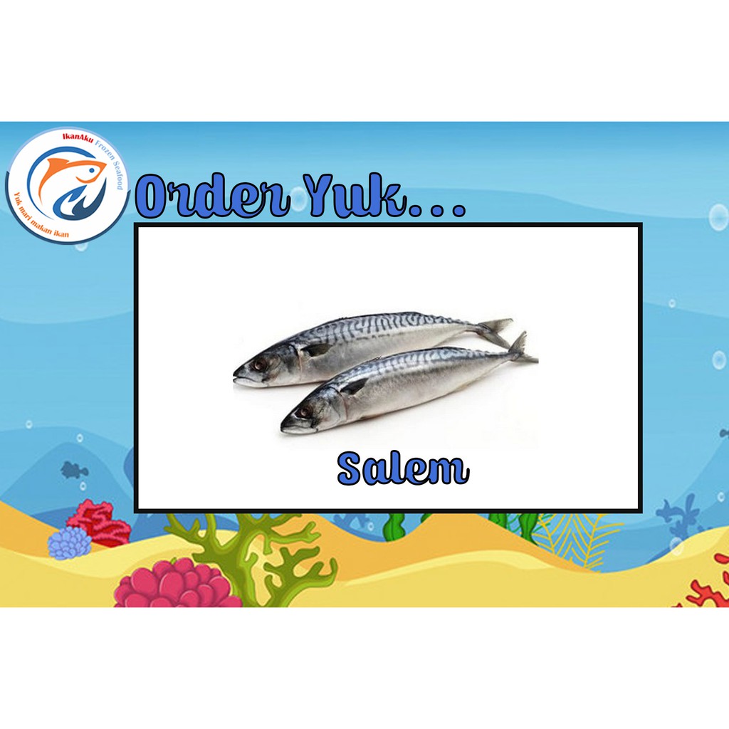

Ikan Salem