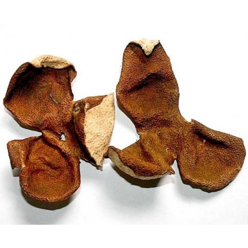 

kulit jeruk kering/Chen Pi/Citrus Tangerine