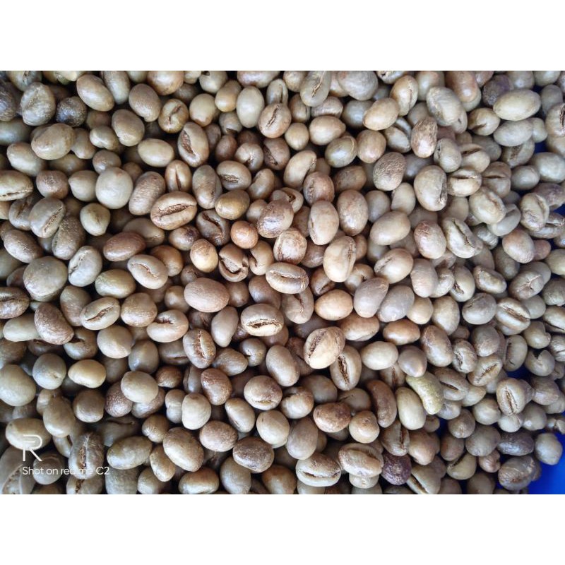 

Grenbean Robusta Lanang