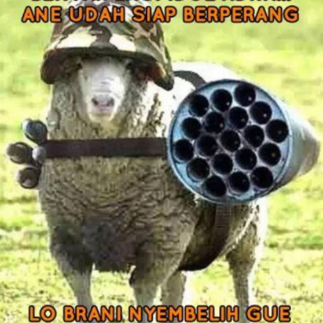 afifahtusolihah