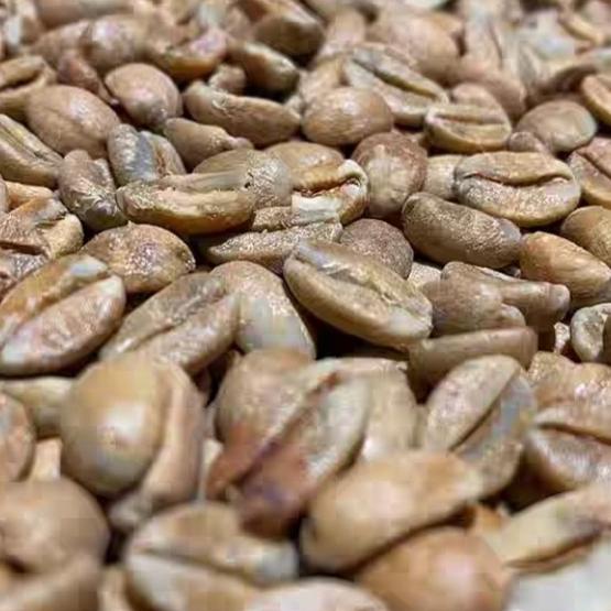 

CREATIVA COFFEE DISTRICT LOT TOP GEISHA GREEN BEANS FBFG63546