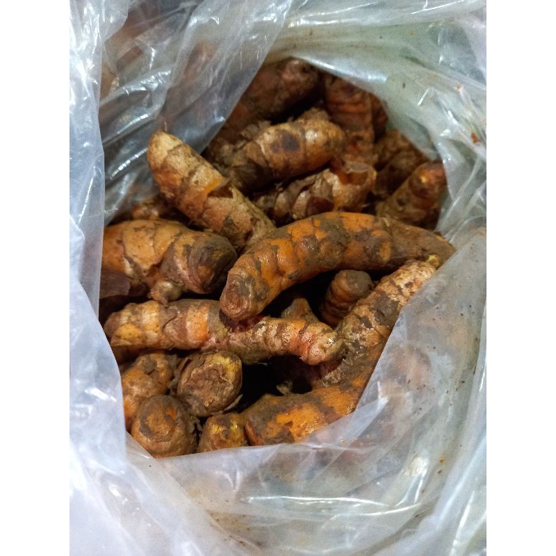 

kunyit kunir bumbu dan herbal 200 gram